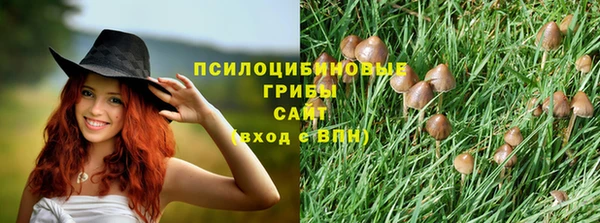 винт Надым