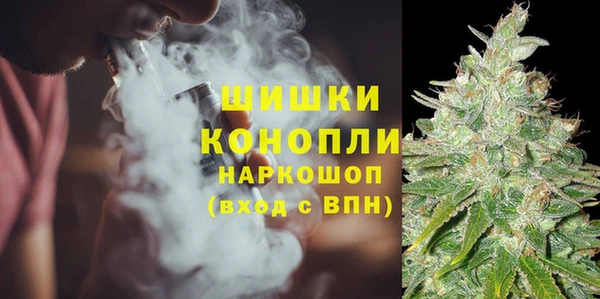 СК Мегион