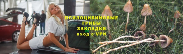 Альфа ПВП Медвежьегорск
