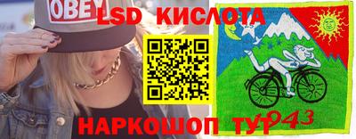 спиды Гатчина