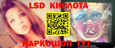спиды Гатчина