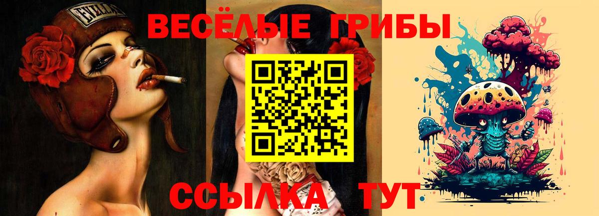 Псилоцибиновые грибы ЛСД  Псилоцибиновые грибы Cubensis  даркнет сайт  Вход с VPN  Камень-на-Оби 